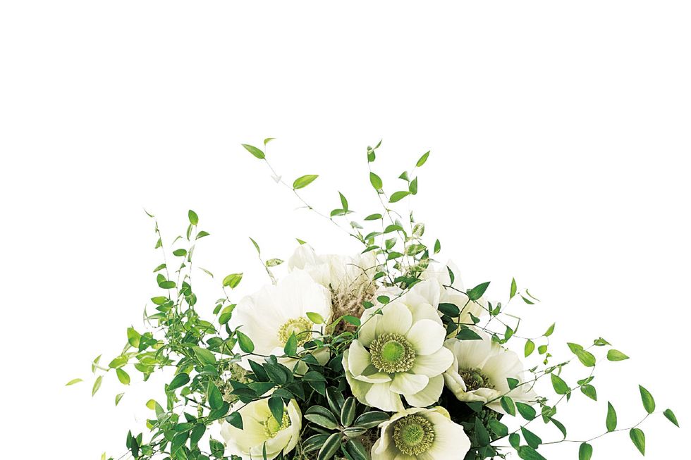 Bouquet, Petal, Flower, Cut flowers, Botany, Floristry, Flowering plant, Flower Arranging, Floral design, Artificial flower, 