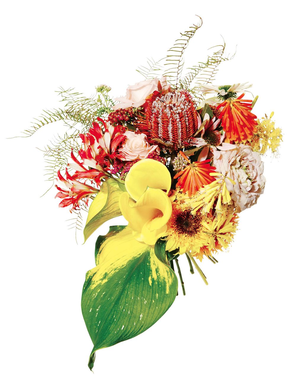 Flower, Cut flowers, Bouquet, Plant, Floristry, Flower Arranging, Anthurium, Botany, Illustration, Floral design, 