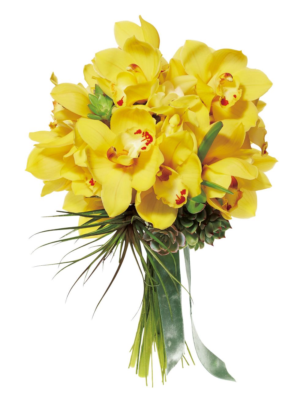 Yellow, Petal, Flower, Bouquet, Cut flowers, Floristry, Botany, Flower Arranging, Flowering plant, Floral design, 