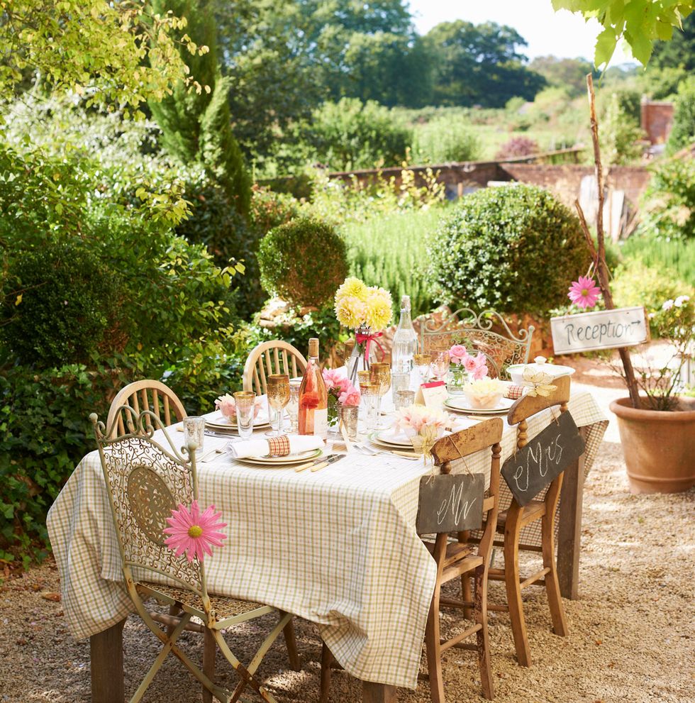 Tablecloth, Plant, Furniture, Table, Garden, Shrub, Linens, Flowerpot, Outdoor table, Chair, 