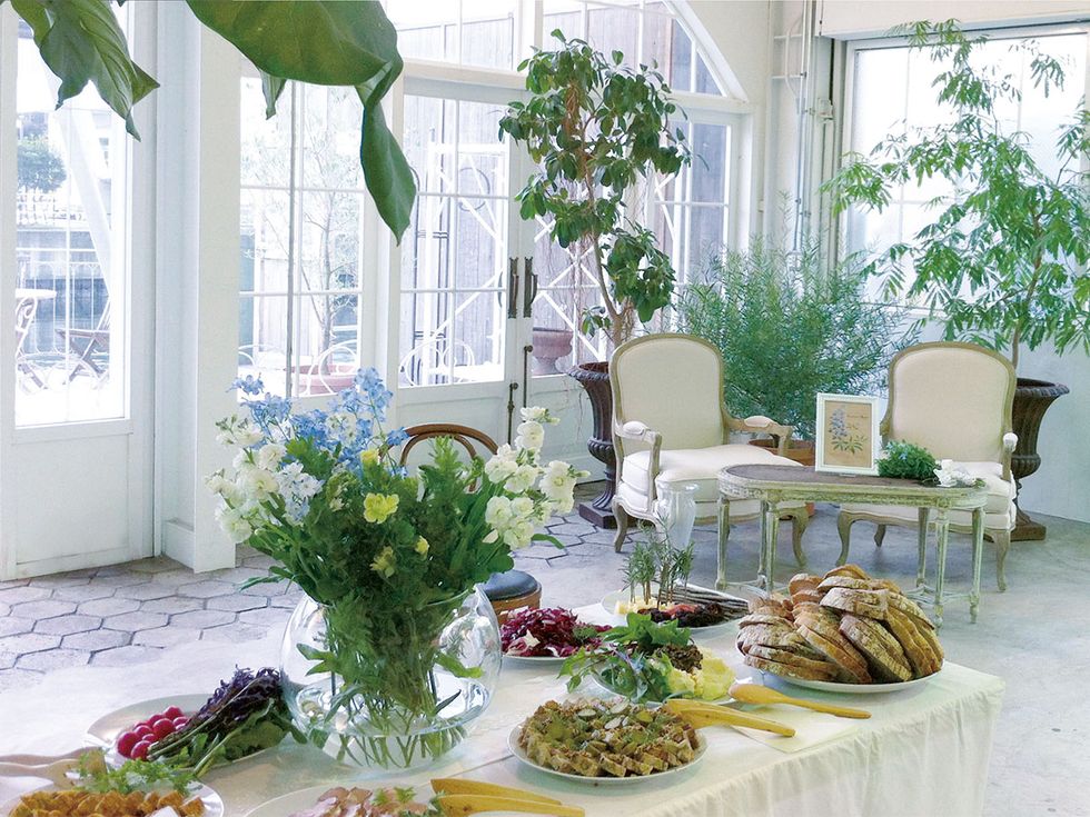 Green, Houseplant, Table, Interior design, Room, Furniture, Flowerpot, Plant, Brunch, Flower, 