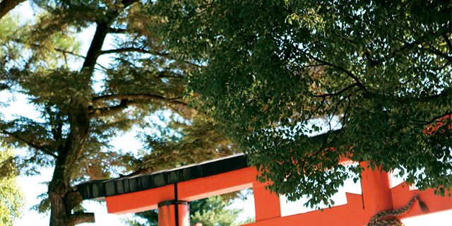 Torii, Chinese architecture, Tree, Red, Japanese architecture, Place of worship, Temple, Travel, Temple, Shrine, 