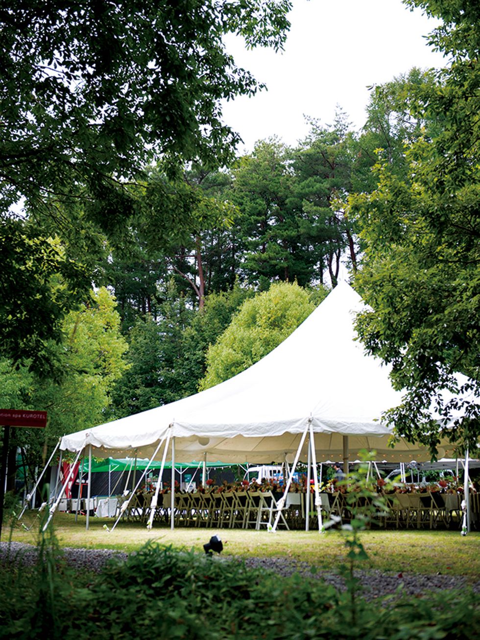 Tent, Tree, Shade, Pole, Canopy, Garden, Park, Gazebo, Lawn, Tarpaulin, 