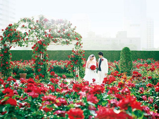Petal, Flower, Red, Dress, People in nature, Bridal veil, Bridal clothing, Carmine, Marriage, Bride, 