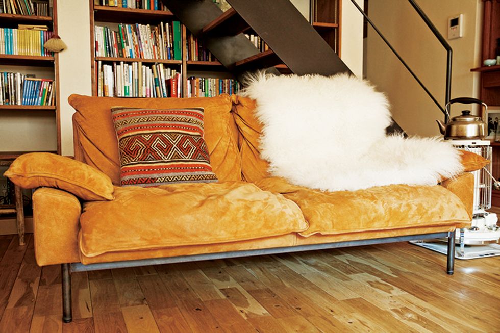 Couch, Furniture, Living room, Laminate flooring, Room, Floor, Fur, Sofa bed, Hardwood, Wood flooring, 