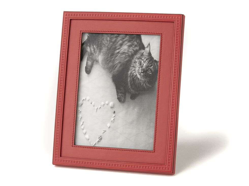 Picture frame, Cat, Wallet, Fur, Felidae, 