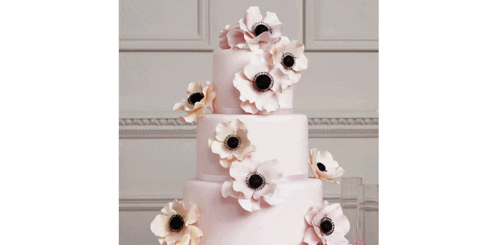 Pink, Dessert, Petal, Baked goods, Serveware, Cake stand, Cake, Cake decorating, Wedding ceremony supply, Peach, 