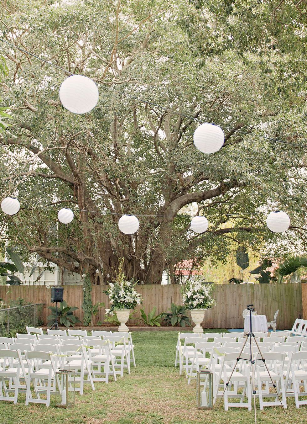 Branch, White, Furniture, Woody plant, Function hall, Linens, Decoration, Design, Tablecloth, Twig, 