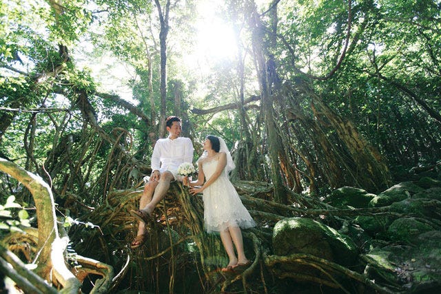 Yakushima Nature Wedding 屋久島ネイチャーウエディング