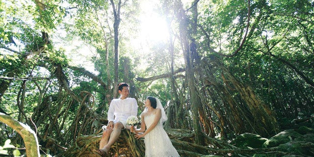 Yakushima Nature Wedding 屋久島ネイチャーウエディング