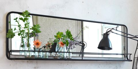 Wall, Room, Camera accessory, Iron, Ladder, Tripod, Paint, Flowerpot, Flower Arranging, Floral design, 
