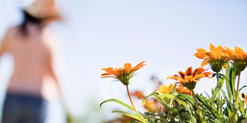6 Ways To Glam Up Your Garden For Under 100