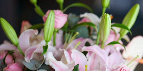 Pollen Stain Removal How To Remove Stains They Smell Exquisite But The Mess Made By Their Pollen Is Less Ealing You Can Get Rid Of Stains