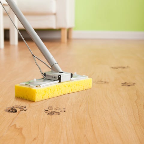 Cleaning Tips For Floors Keep Your Sparkling Clean Ghi Tip Vacuum Or Sweep All Types Of Hard Floors Regularly To Prevent The Surface Being Scratched By Grit If Shoes Are Removed At Front Door It Will