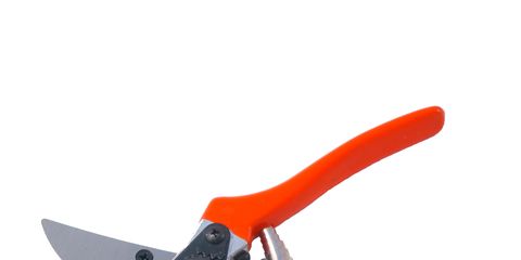 Orange, Blade, Tool, Pliers, Metalworking hand tool, Snips, Wire stripper, Hand tool, Cutting tool, Nipper, 