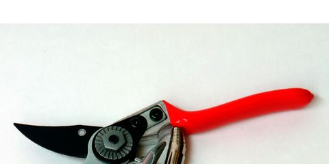 Red, Carmine, Pliers, Wire stripper, Tool, Coquelicot, Snips, Nipper, Wire, Diagonal pliers, 