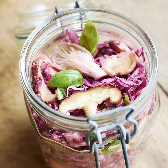 benefits of juicing red cabbage