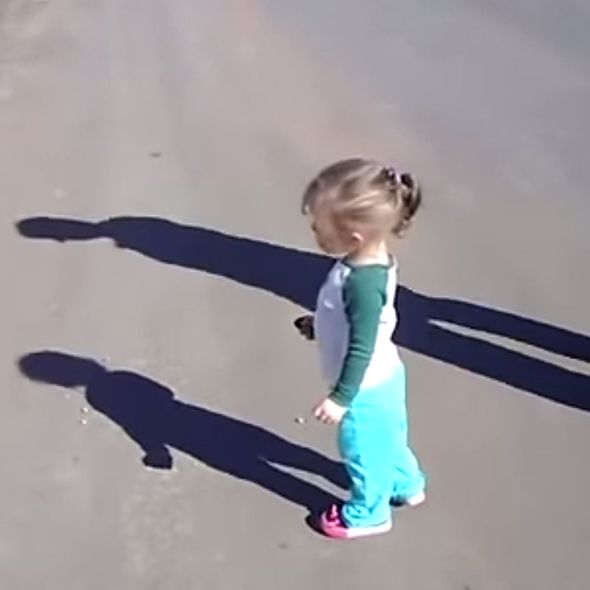 Watch: Cute babies discovering shadows for the first time - Funny videos