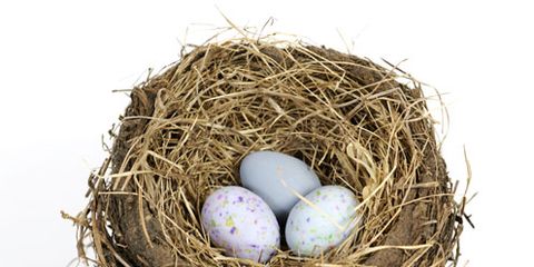 Bird nest, Nest, Twig, Egg, Straw, Oval, Egg, 