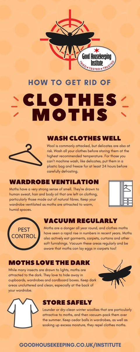 How To Get Rid Of Clothes Moths Pest Control Good Housekeeping Ensure Clothes Are Freshly Washed Before Storing Them Away Here Our 5 Simple Ways To Safely And Nine Great Tips For Your