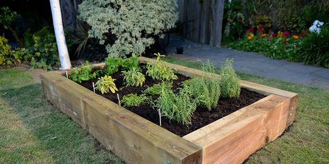 How To Build Your Very Own Raised Herb Garden Diy