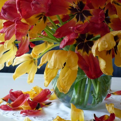 The Trick To Keeping Vases Gleaming Good Housekeeping Ghi Tip As With Gles Don T Put Any Vase In The Dishwasher Too Regularly Or You Run Risk Of It Going Cloudy