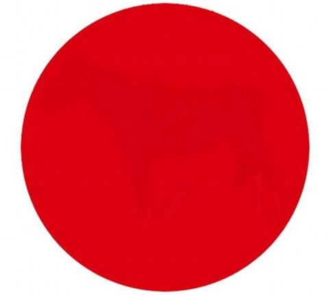 Can you see what's hidden in this red circle?