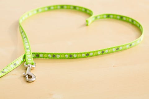 Green, Jewellery, Fashion accessory, Natural material, Body jewelry, Metal, Jewelry making, Bracelet, Silver, Heart, Green, Jewellery, Fashion accessory, Natural material, Body jewelry, Metal, Jewelry making, Bracelet, Silver, Heart,