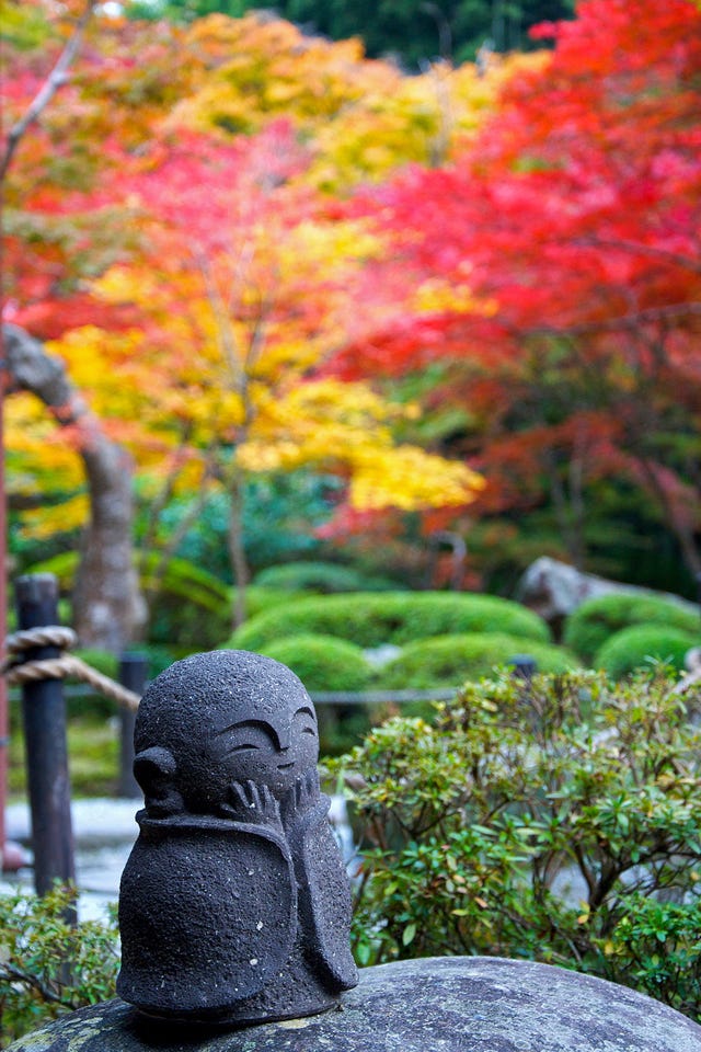 Foglia, Albero, Rosso, Autunno, Giardino, Botanica, Pianta, Statua, Pianta legnosa, Giardino botanico,