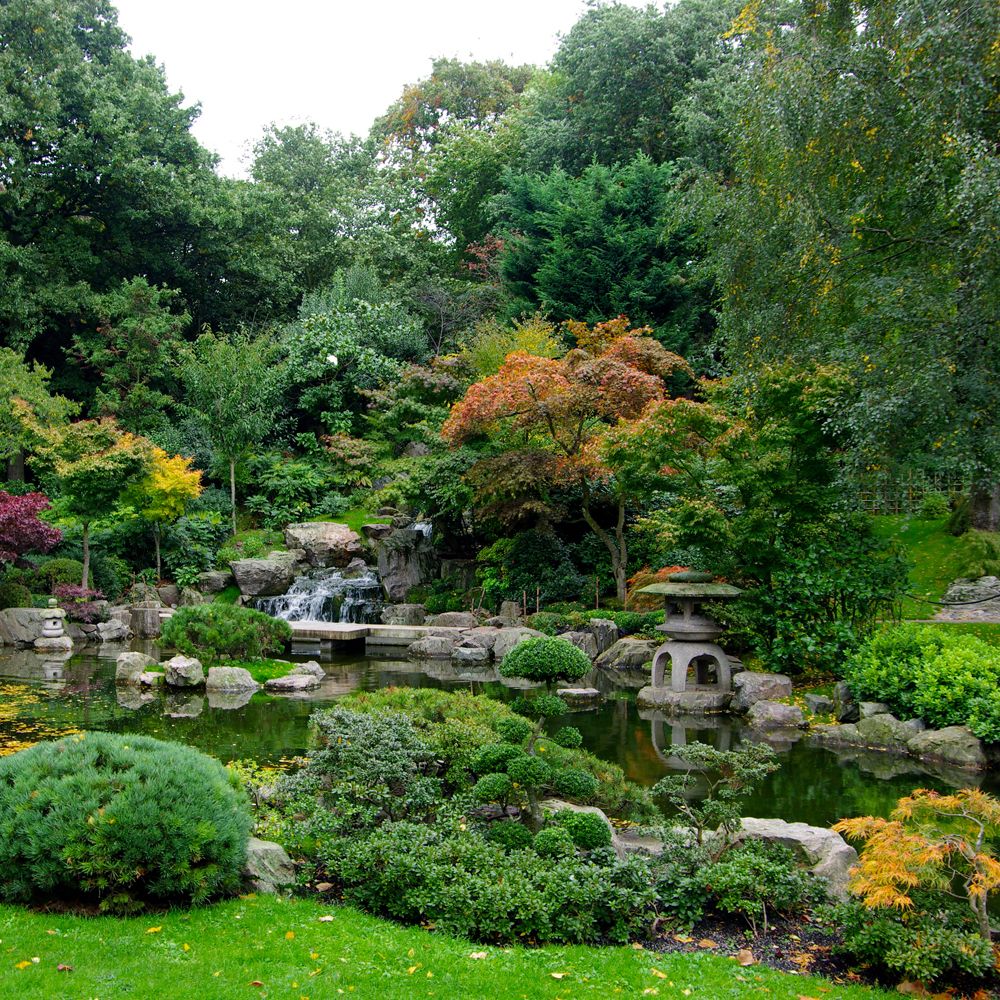 How to plant a Japanese garden in a small space