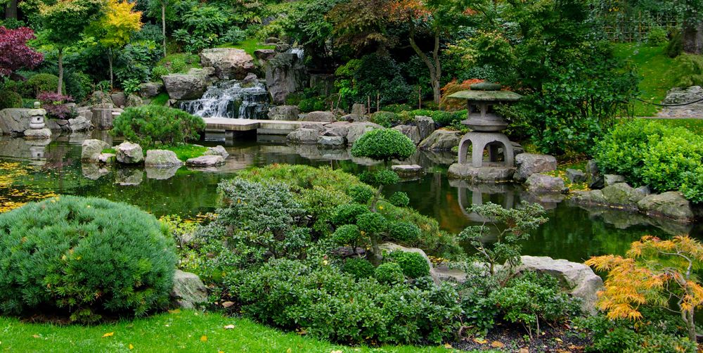 How To Plant A Japanese Garden In A Small Space