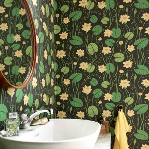 Green, Plumbing fixture, Leaf, Interior design, Interior design, Ceramic, Tap, Bathroom sink, Sink, Porcelain, 