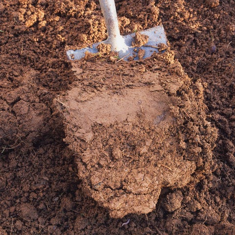 Sol, sable, mélange, compost, Sol, sable, mélange, compost,