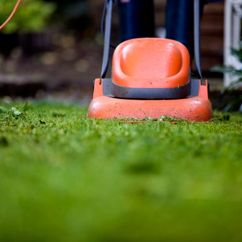 Vert, herbe, Orange, plastique, pelouse, caoutchouc synthétique, nature morte, photographie Vert, herbe, Orange, plastique, pelouse, caoutchouc synthétique, nature morte, photographie