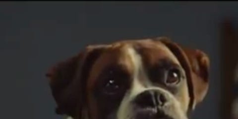 a third teaser clip for the john lewis christmas advert has just been revealed and were noticing a theme - John Lewis Christmas Ad a third teaser clip for the john lewis christmas advert has just been revealed and were noticing a theme - John Lewis Christmas Ad