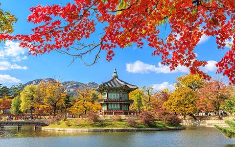 Nature, Water resources, Water, Natural landscape, Reflection, Chinese architecture, Bank, Pond, Woody plant, Japanese architecture, 