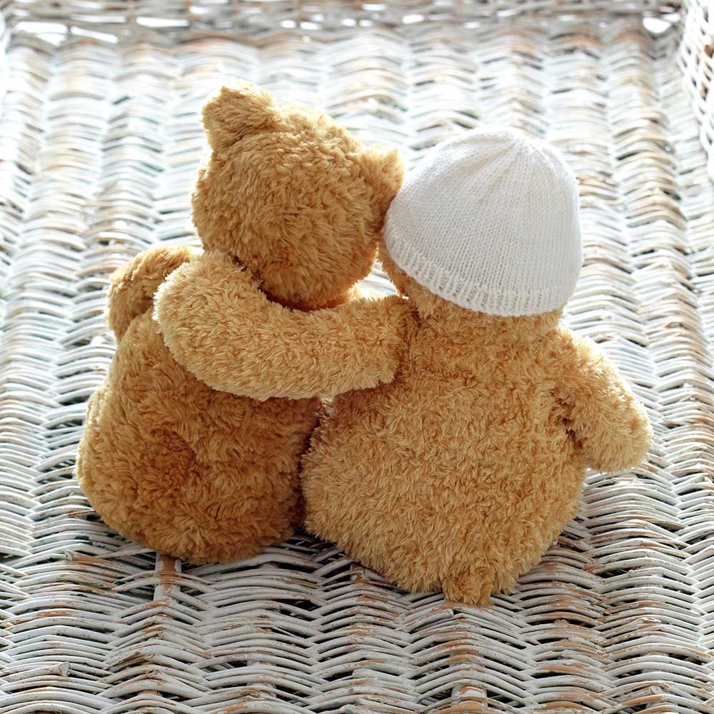 cutest teddy bears ever