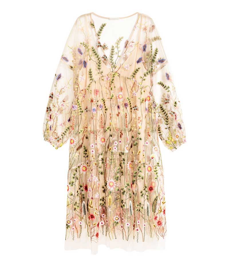 H&m Embroidered Mesh Dress 2024 | dvos.org