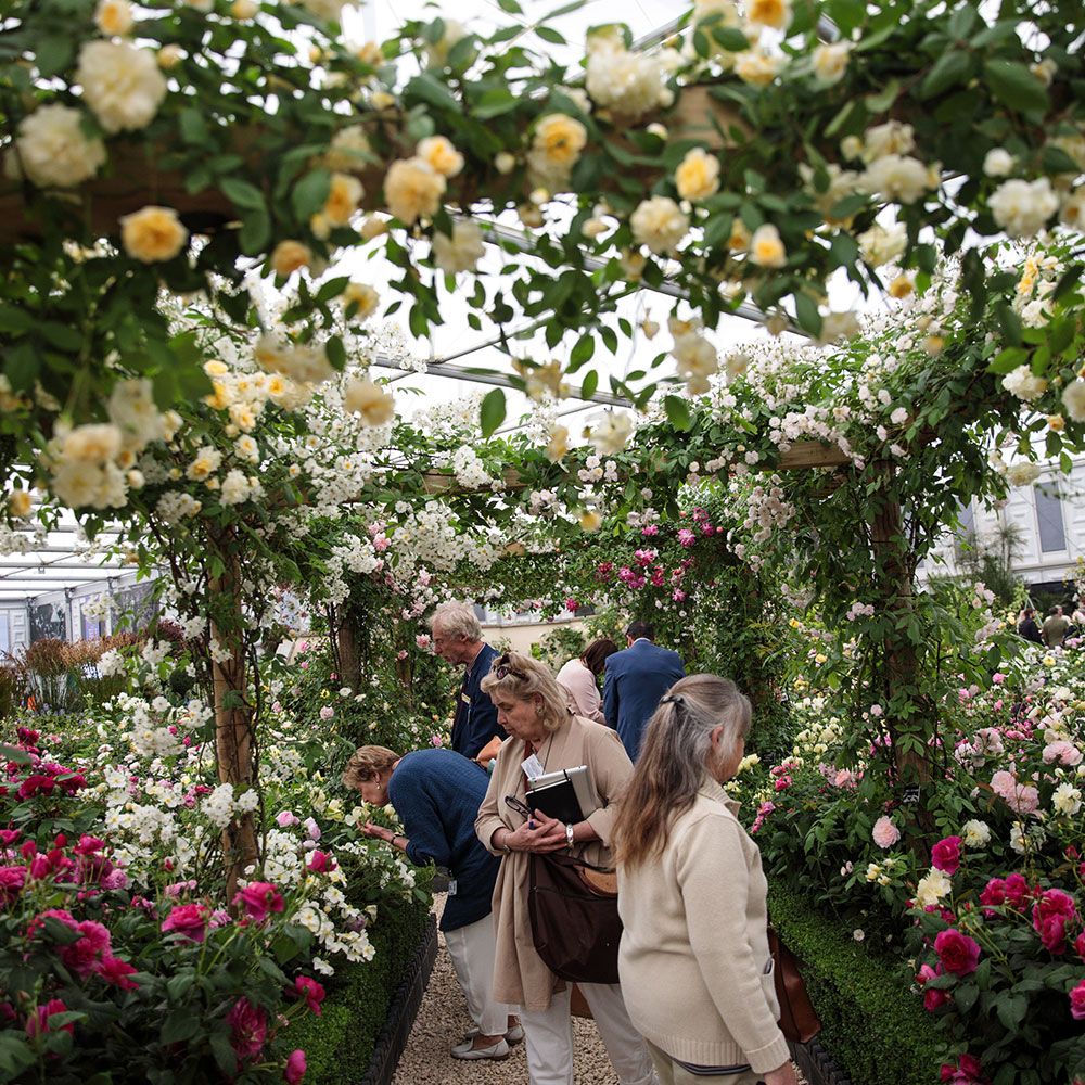 5 key garden trends from the rhs chelsea flower show