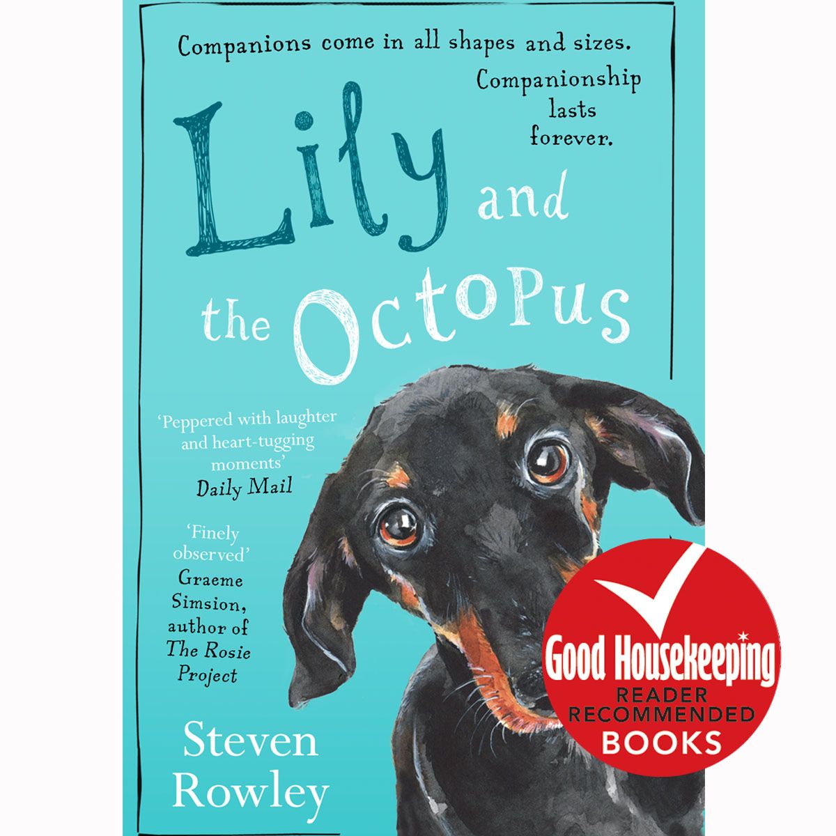 lily and the octopus by steven rowley