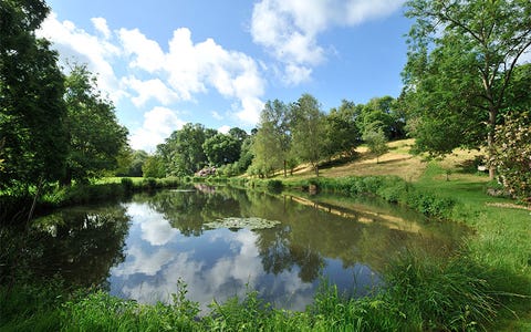 River Cottage is up for sale - Hugh Fearneley-Whittingstall's property ...