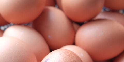 Egg safety for consumers - pregnant women and children can eat ... Egg safety for consumers - pregnant women and children can eat ...