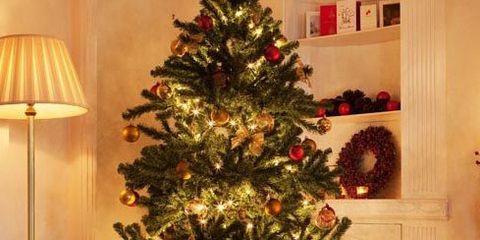 Christmas tree, Christmas decoration, Christmas, Tree, Christmas ornament, oregon pine, Spruce, Colorado spruce, Christmas eve, Home, 