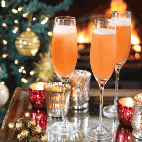 Christmas Cocktail Ideas How To Make A Negroni Fizz