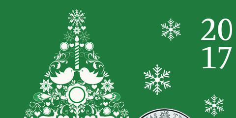 oregon pine, Green, Colorado spruce, Christmas decoration, Christmas tree, Christmas eve, Tree, Snowflake, Pine, Fir, 