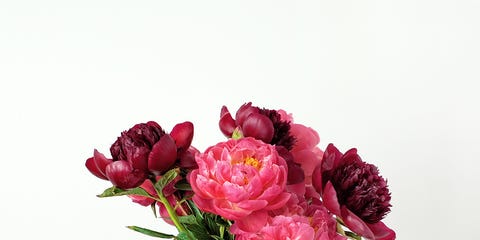 We all love having fresh blooms brightening up our homes, but the not-so-great part of decorating with flowers is that they never last as long as we'd like ...