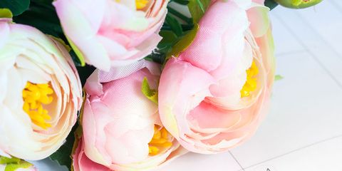 Text, Pink, Flower, Cut flowers, Font, Tulip, Spring, Plant, Petal, Watercolor paint, 