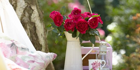 Petal, Pink, Tablecloth, Cut flowers, Linens, Flower Arranging, Magenta, Flowering plant, Home accessories, Vase, 