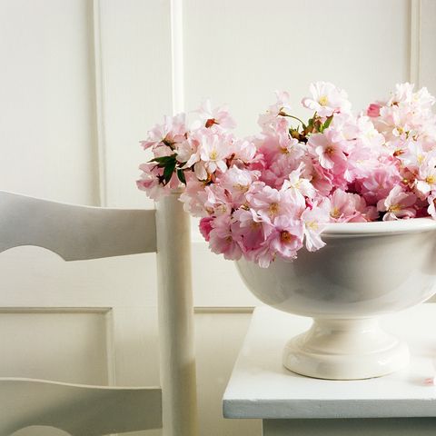 Petal, Flower, Serveware, Pink, Room, Cut flowers, Artifact, Interior design, Bouquet, Flower Arranging, 