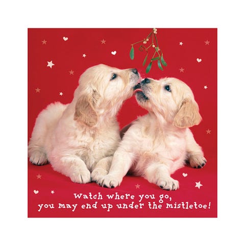 55+ Golden Retriever Christmas Cards Uk